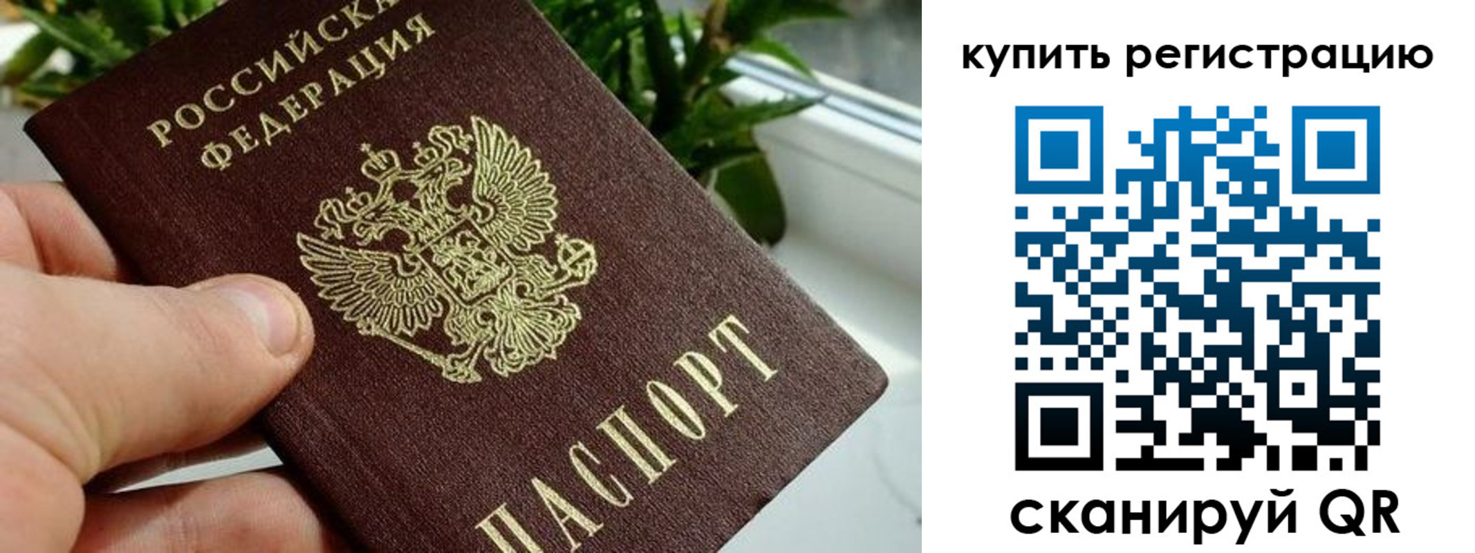 прописка гарантия в Сланцах